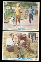 Load image into Gallery viewer, Billie, 1965
