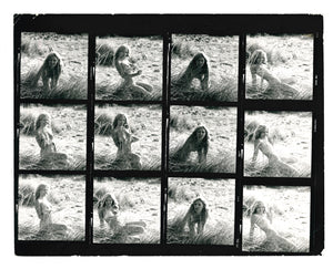 Original Pictorial Press 10x8 Photographs Ref: 100