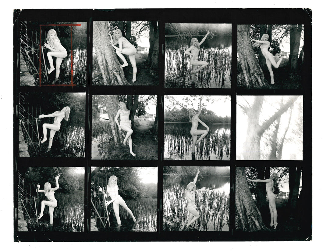 Original Pictorial Press 10x8 Photographs Ref: 144