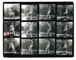 Original Pictorial Press 10x8 Photographs Ref: 235