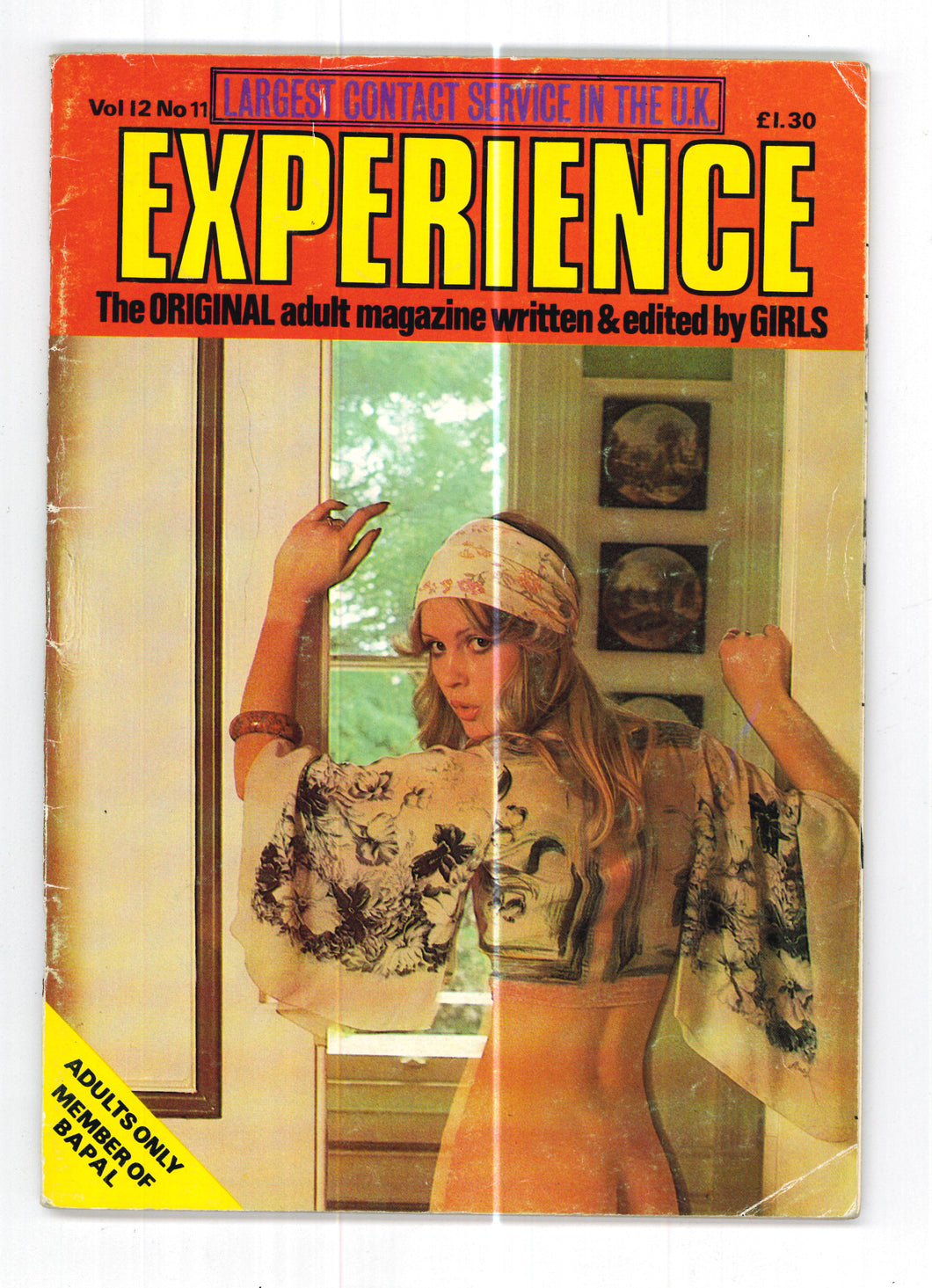 Experience Vol 12 No 11