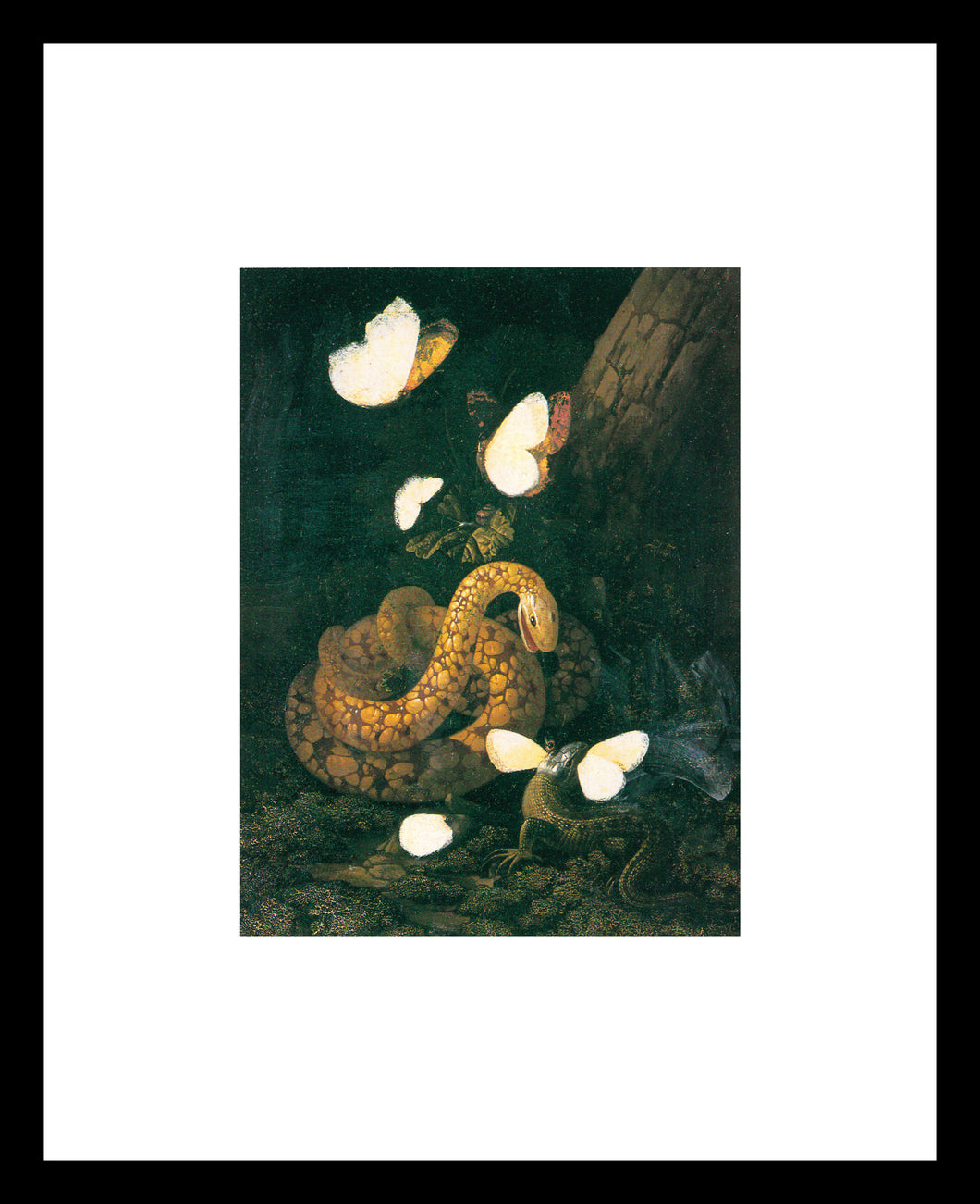 Karl Wilhelm de Hamilton A snake poised to attack a lizard as it eats a butterfly Window Mounted Tear sheet
