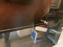 Load image into Gallery viewer, Passenger 57, 1992
