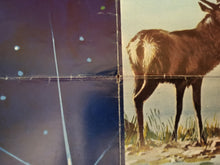 Load image into Gallery viewer, Remember Me This Way, Brother Of the Wind
