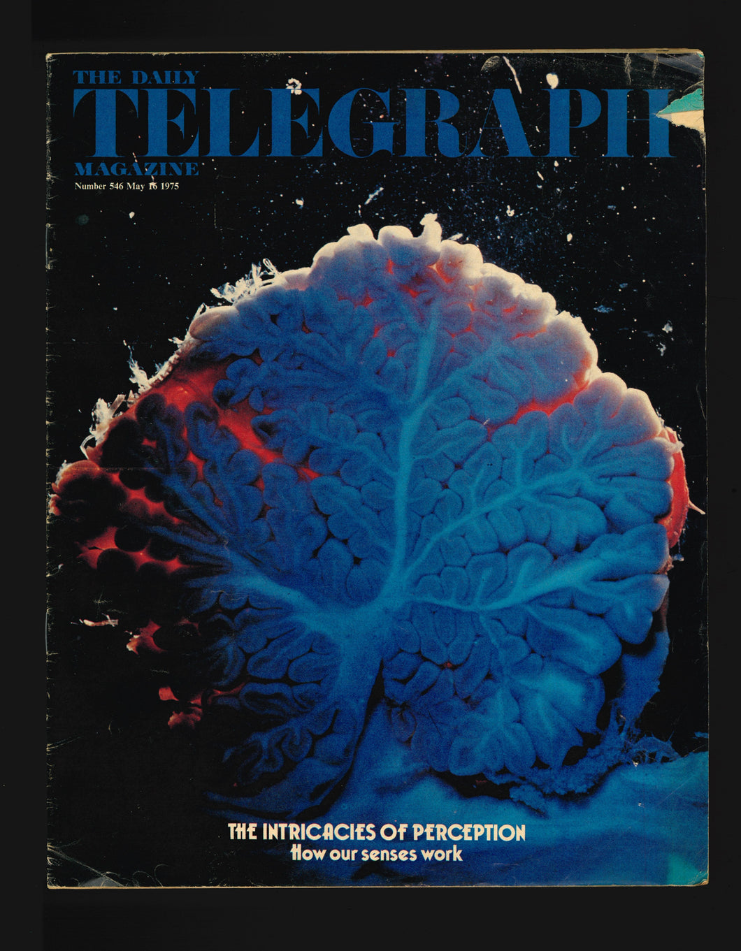 The Daily Telegraph No.546 May 16 1975 (2)