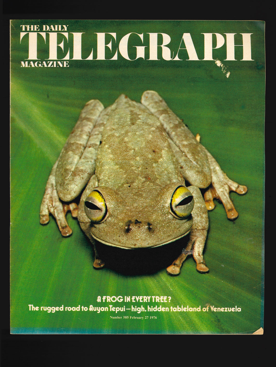 The Daily Telegraph No.585 Feb 27 1976 (3)