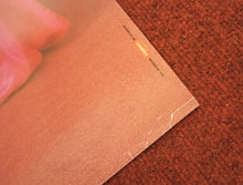 Load image into Gallery viewer, Pleasure Principle, 1992 (6)
