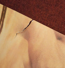 Load image into Gallery viewer, The Prince Of Tides, 1991
