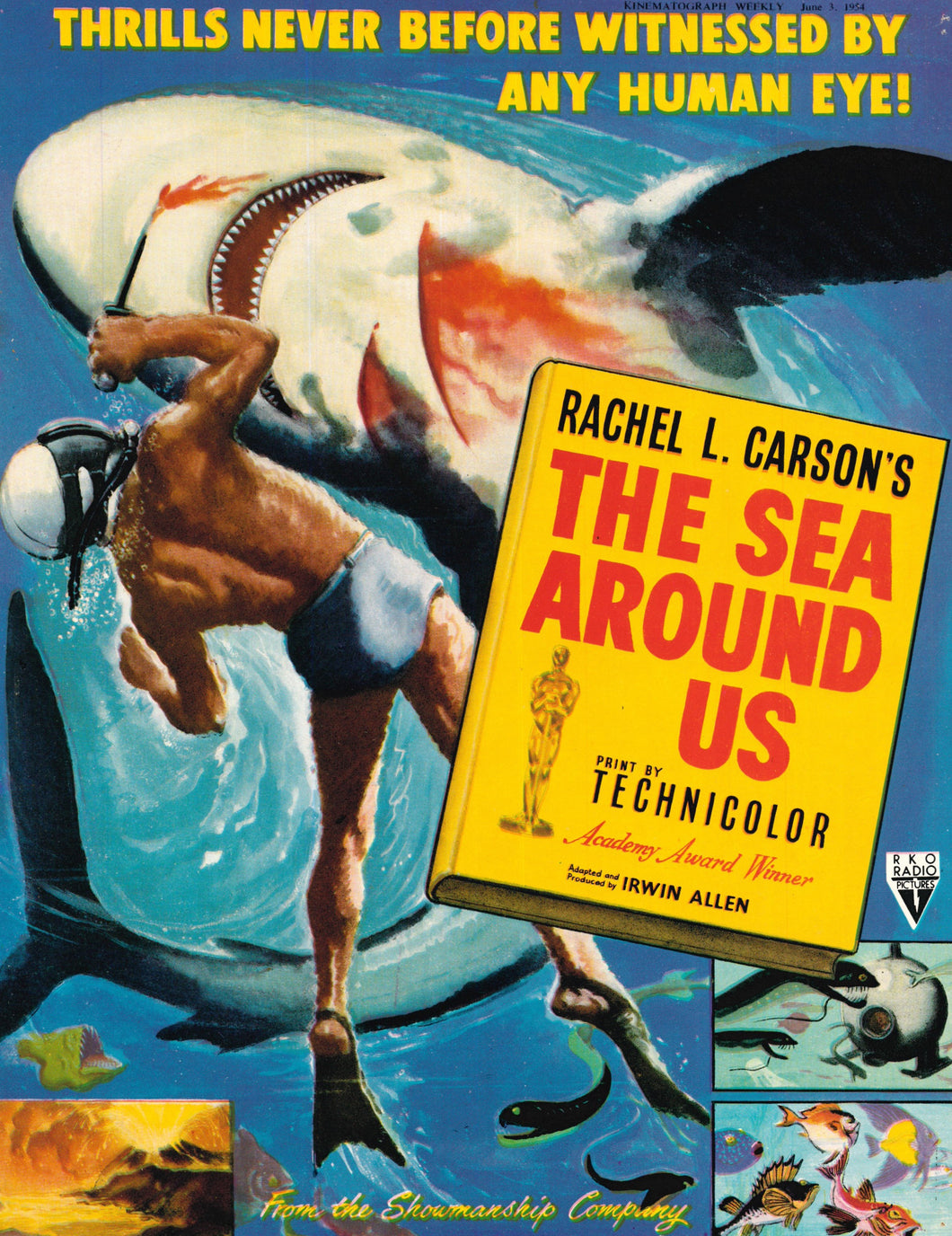 The Sea Around Us Art Print