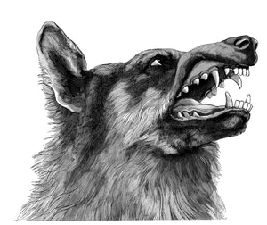 Wolf Art Print