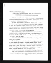 Load image into Gallery viewer, M. Butterfly, 1993 Press Kit
