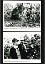 Load image into Gallery viewer, Gorillas in the Mist, 1988 Press Kit
