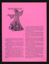 Load image into Gallery viewer, Darling Lili, 1970 Press Kit (2)
