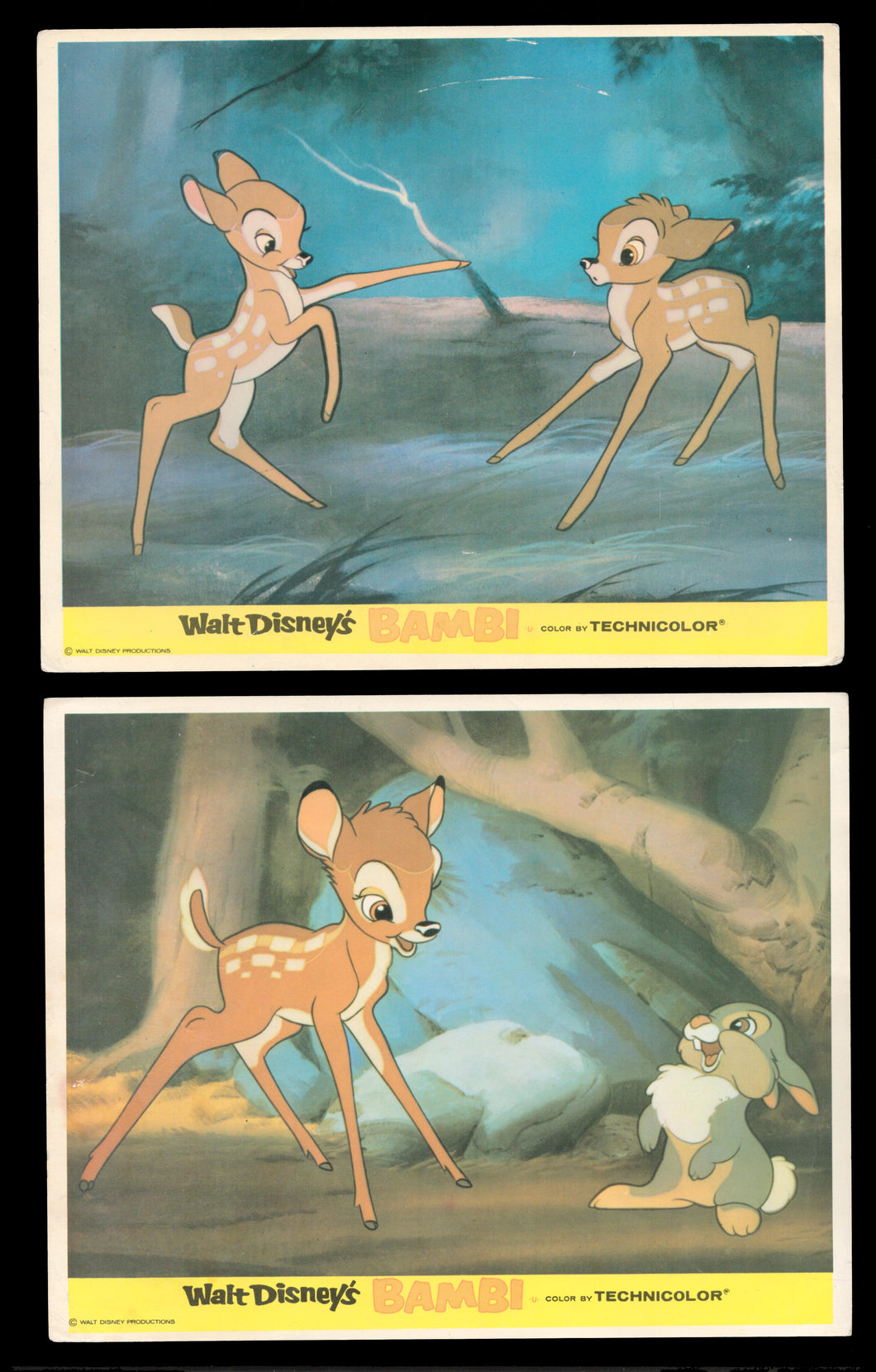 Bambi, 1960s RR