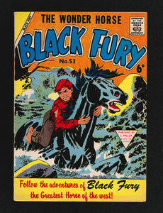 Black Fury No 53
