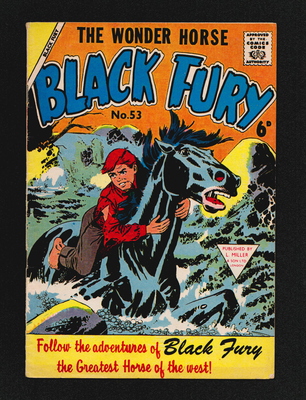 Black Fury No 53