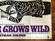 Load image into Gallery viewer, Danger Grows Wild, 1966
