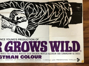 Danger Grows Wild, 1966