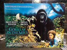 Load image into Gallery viewer, Gorillas in the Mist, 1988
