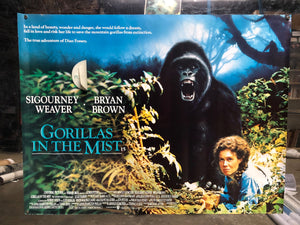 Gorillas in the Mist, 1988