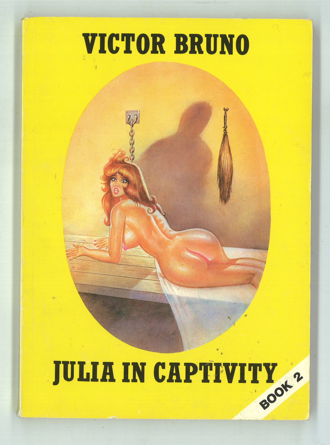 Julia in Captivity Book 2