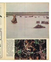 Load image into Gallery viewer, Sunday Times Magazine Nov 3 1963

