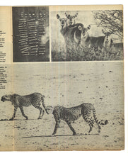 Load image into Gallery viewer, Sunday Times Magazine Nov 3 1963
