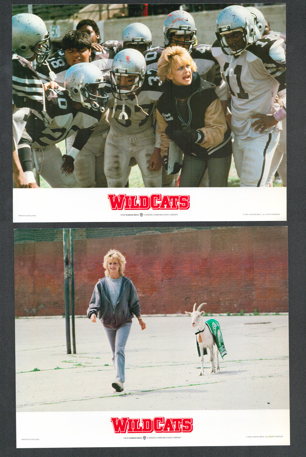 Wildcats, 1986