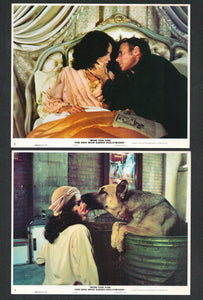 Won Ton Ton The Dog Who Saved Hollywood, 1976